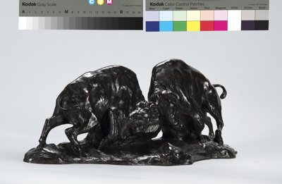 Two Fighting Buffalo de Arthur Putnam