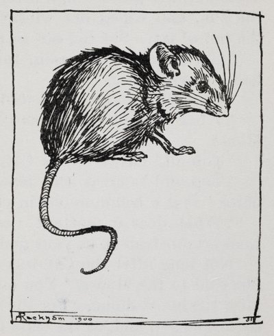 Um rato de Arthur Rackham
