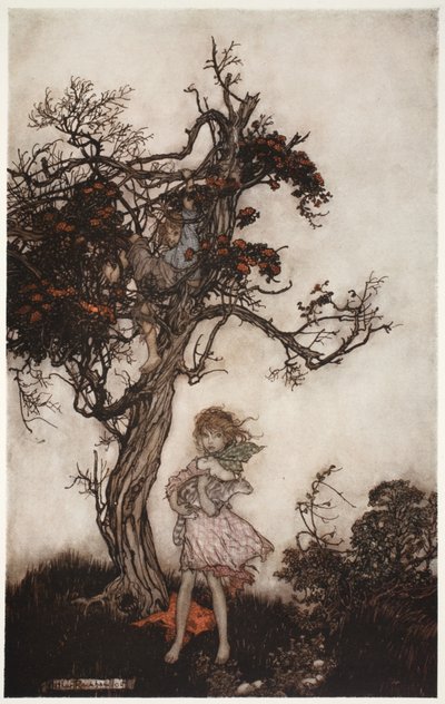 Seus filhos eram tão esfarrapados e selvagens como se não pertencessem a ninguém, de Rip Van Winkle de Washington Irving, pub. 1910 de Arthur Rackham