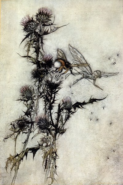 Ilustração de Arthur RACKHAM (1867-1939) para The Dream of a Summer Night de William SHAKESPEARE de Arthur Rackham