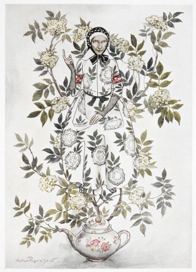 No meio de uma árvore sentou-se uma mulher de aspecto amável". Uma planta grande a crescer de um bule de chá. Uma mulher velha entre os ramos. Uma ilustração a cores para "Mãe de árvore idosa". de Arthur Rackham