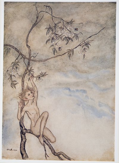 Alegre, felizmente eu vou viver agora sob a flor que paira sobre o galho, ilustração de William Shakespeares The Tempest, pub. 1926 de Arthur Rackham