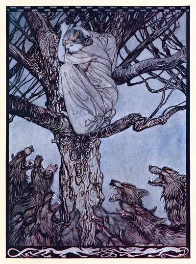 Ela olhou com pesar irado para a horda exausta e rosnando abaixo. de The Wooing of Becfola em contos de fadas irlandeses de Arthur Rackham