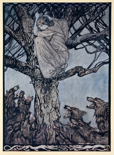 Ela olhou com raiva para a horda de tensão e rosnado abaixo, ilustração de "Contos de Fadas Irlandeses" de James Stephens de Arthur Rackham