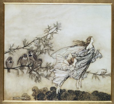 As fadas têm seus Tiff com os pássaros, ilustração de 1906 para Peter Pan em jardins de Kensington por JM Barrie, bar. 1906 (tinta e wc) de Arthur Rackham