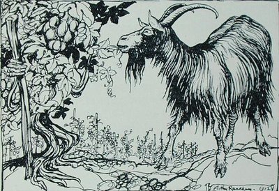 The Goat and the Vine, ilustração de 