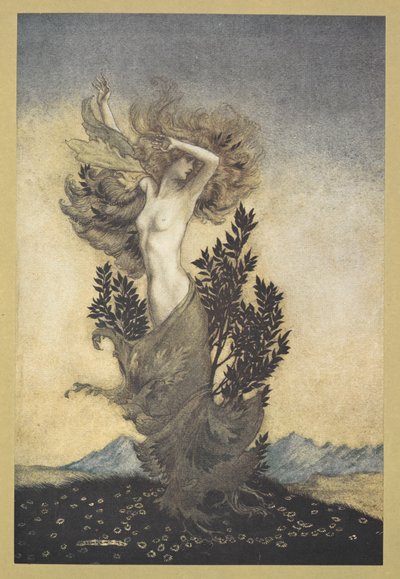 ... como Daphne foi, de raiz, que fugiu de Apollo". de Arthur Rackham
