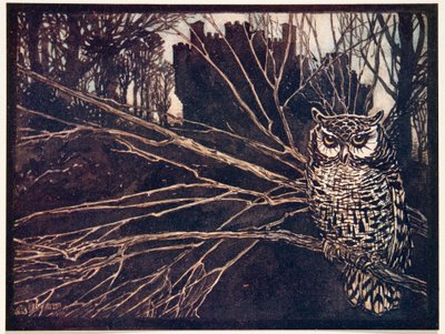  ou uma coruja de grito, dos contos de fadas dos irmãos Grimm, bar. 1909 de Arthur Rackham
