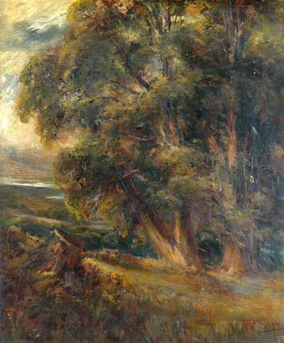 Estudo da árvore de Arthur Reginald Smith