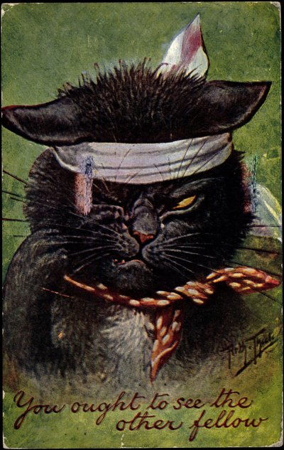 Gato, devias ver o outro tipo de Arthur Thiele
