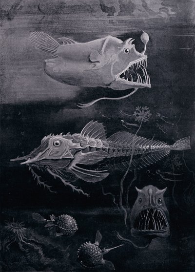 Peixe De Mar Profundo de Arthur Twidle