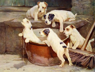 A Ordem do Banho - cachorros lavando de Arthur Twidle