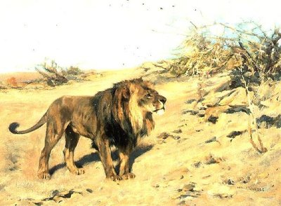 Um leão entre a esfoliação de Arthur Wardle
