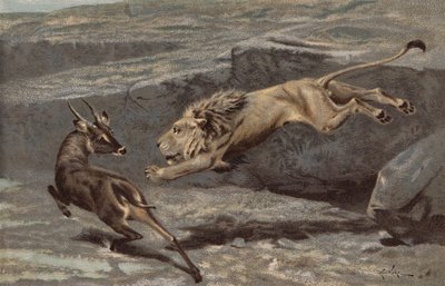Um ataque noturno (cromolitho) de Arthur Wardle