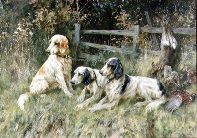 No saco do dia de Arthur Wardle