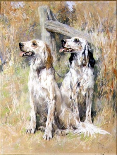 Setters ingleses por um estilo de Arthur Wardle