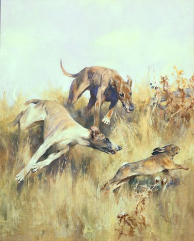 Greyhounds Giving Chase (guache no papel) de Arthur Wardle