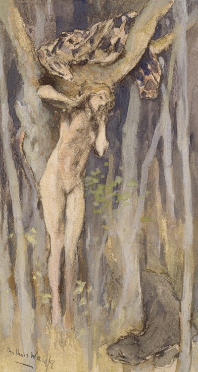 Hamadraid - Spirit of a Tree, c.1890 (pastel, lápis e aguarela sobre papel) de Arthur Wardle