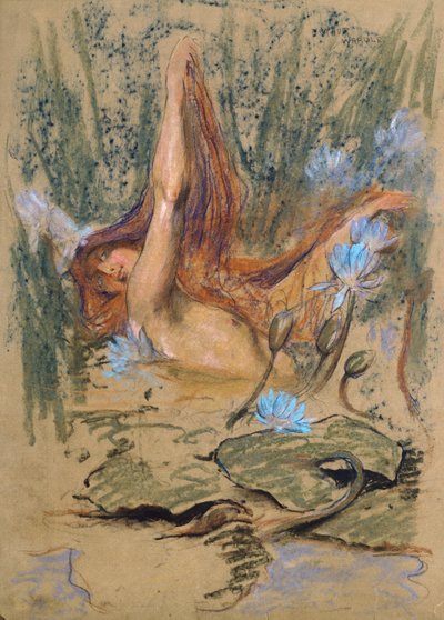 Nymphea, c.1890 (pastel, lápis e aquarela sobre papel) de Arthur Wardle