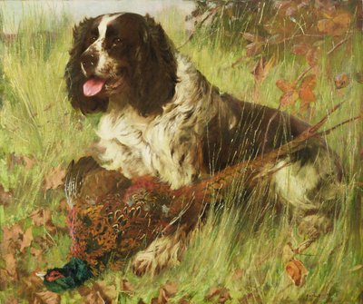 Springer Spaniel com faisão de Arthur Wardle