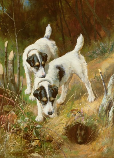 Terriers Coelho de Arthur Wardle