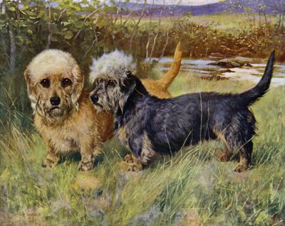 The Dandie Dinmont Terriers, Ch Blacket House Yet, Mustard and Ch Ancrum Fanny, Pepper (cor litho) de Arthur Wardle