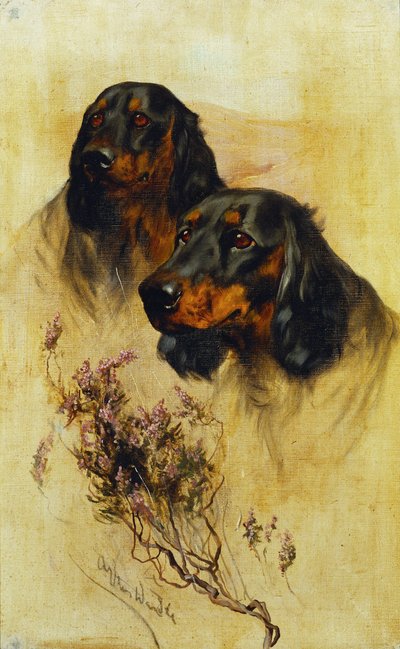 Dois Gordon Setters (óleo sobre tela) de Arthur Wardle