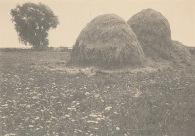 Haystacks, Ipswich, c. 1894 (foto) de Arthur Wesley Dow