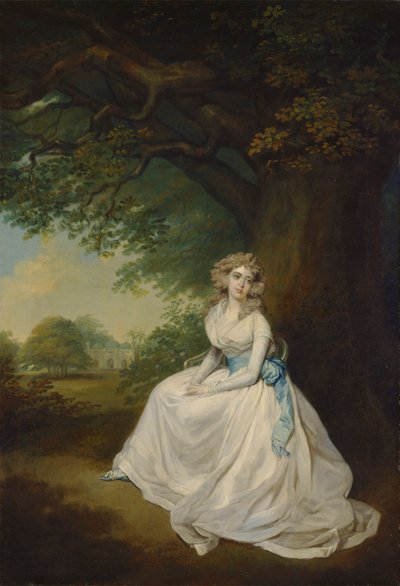 Frances, Lady Chambers (née Wilton) de Arthur William Devis