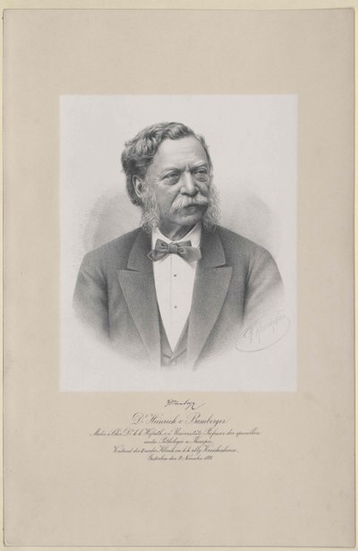 Henrique de Bamberg (imprimir) de Artist Unknown