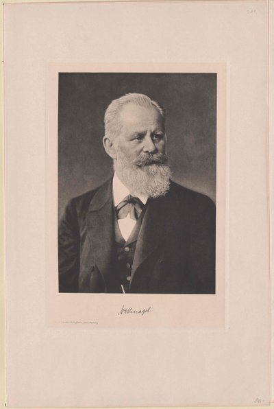 Hermann Nothnagel (impressão) de Artist Unknown
