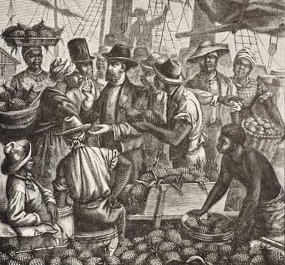 História da Inglaterra (séc. XIX). Colonização (1880). Bahama a vender ananases. Colónia inglesa na ilha de New Providence. O ananás era um dos produtos de exportação do porto de Nassau, o mais importante. Gravura. Coleção particular de Artist Unknown