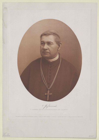 Johannes Haller (impressão) de Artist Unknown