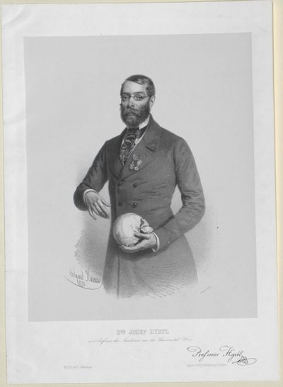 Joseph Hyrtl de Artist Unknown