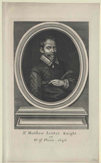 Lista de Mateus (em letra de forma) de Artist Unknown