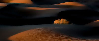 Dunas do Deserto à Hora Dourada de Asef Azimaie