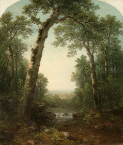 Riacho da floresta com vista de Asher Brown Durand