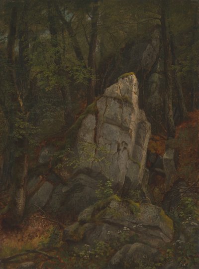 Estudo das rochas na ravina de Pearson de Asher Brown Durand