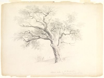 O Carvalho de Castanha no Hosack Estate, Hyde Park, Nova Iorque com Cinco Figuras e um Artist Sketching, 1838 (grafite sobre papel) de Asher Brown Durand