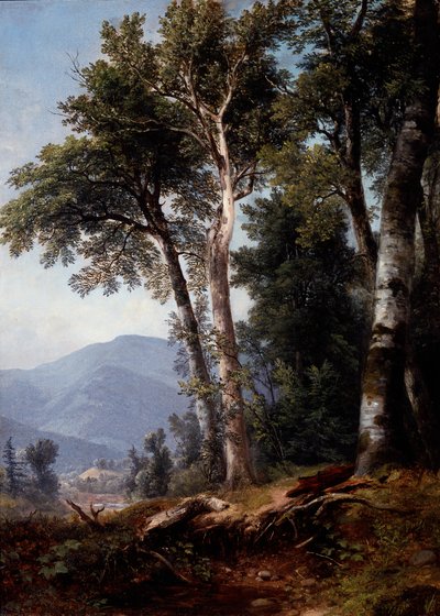 Paisagem de bosque, c.1850 (óleo sobre tela) de Asher Brown Durand