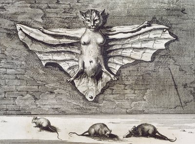 gato de vôo de 1667 de Athanasius Kircher