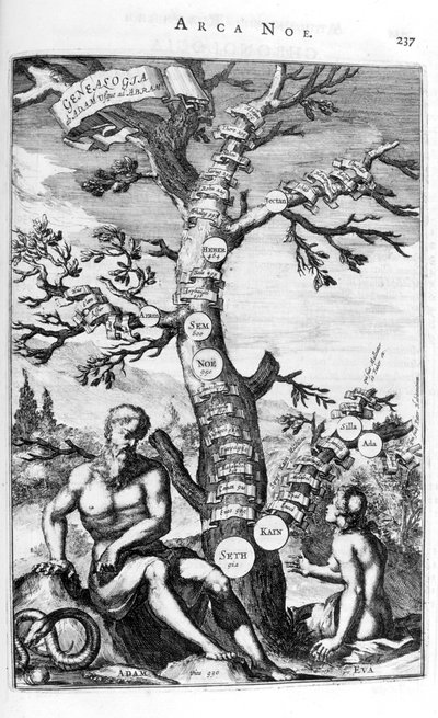 Árvore genealógica de Adão, 1675. de Athanasius Kircher