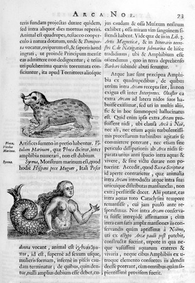 Criaturas míticas, 1675. de Athanasius Kircher