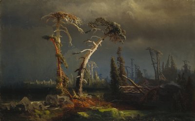 Tempestades crescentes - floresta primitiva morrendo em tempestades (óleo sobre tela) de August Cappelen