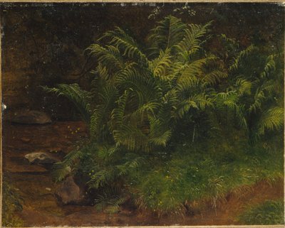 Estudo do feto (óleo sobre tela) de August Cappelen