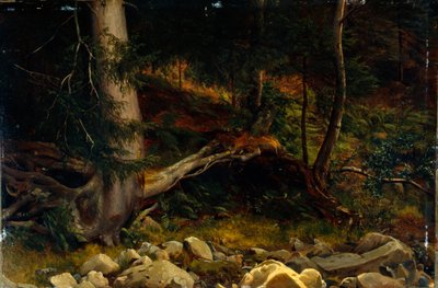 Estudo do solo da floresta (pintura) de August Cappelen