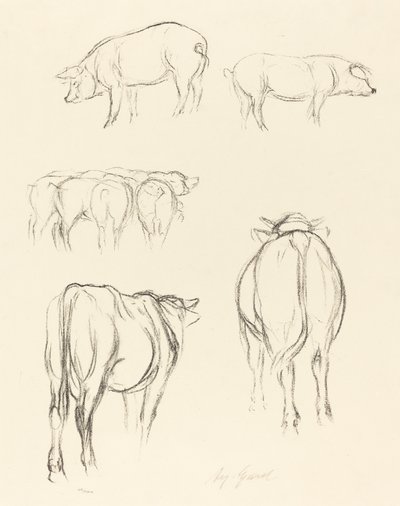 Desenhos de animais de August Gaul