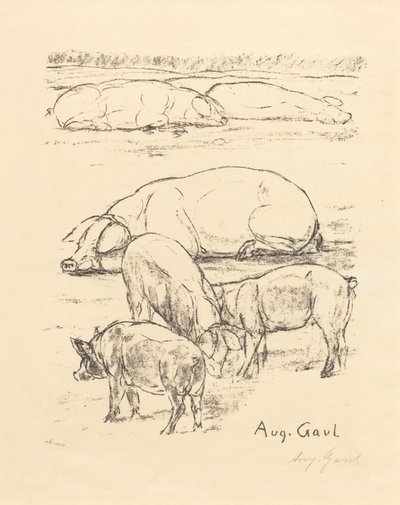 Porcas de August Gaul