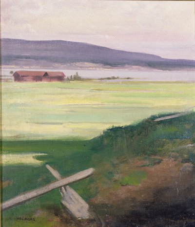 Paisagem, com, um, stile, norrland, suécia de August Hagborg