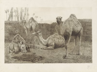 Camelos de August Le Gras